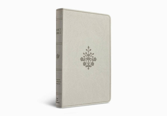 ESV Large Print Value Thinline Bible (TruTone, River Stone)