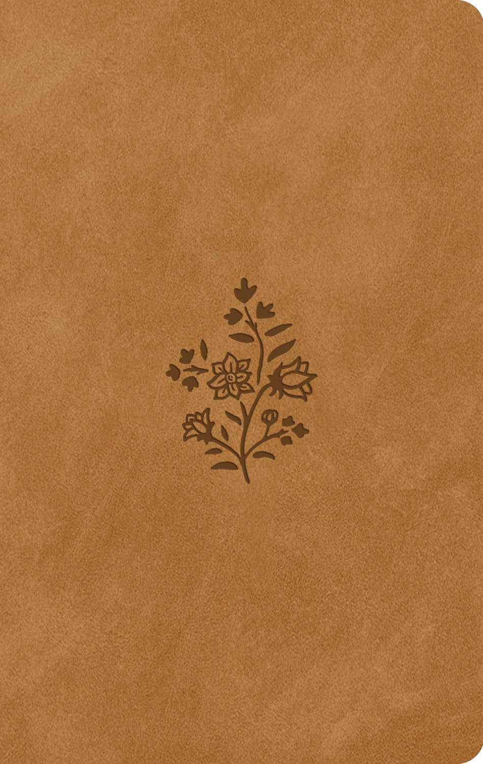 ESV LP Value Thinline Bible (TT, Nubuck)