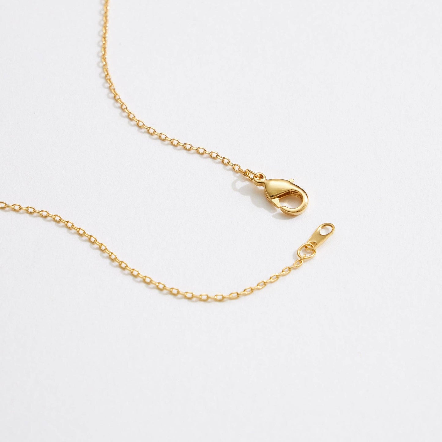 Linked Circle Necklace