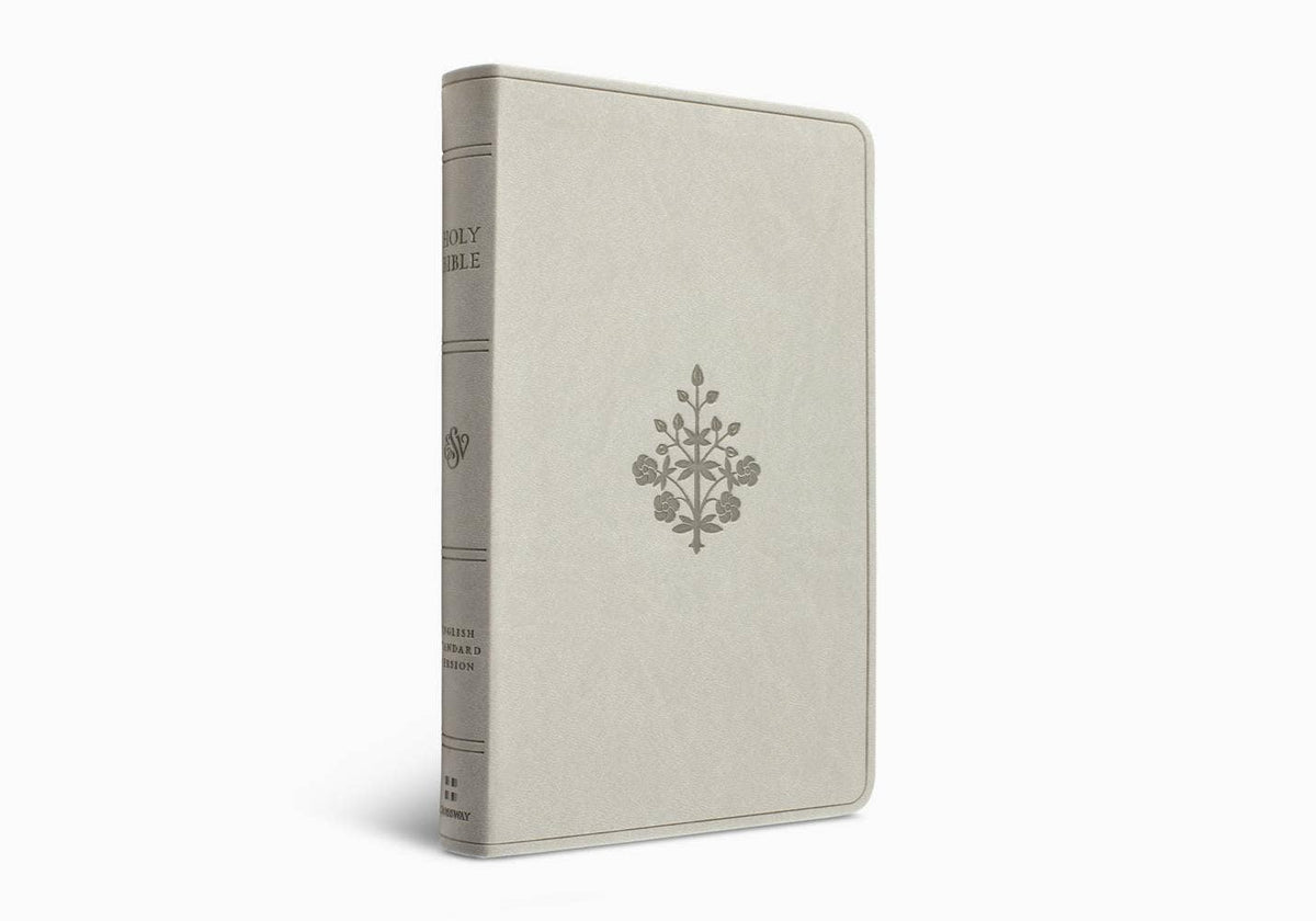 ESV Large Print Value Thinline Bible (TruTone, River Stone)