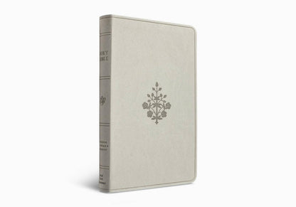ESV Large Print Value Thinline Bible (TruTone, River Stone)