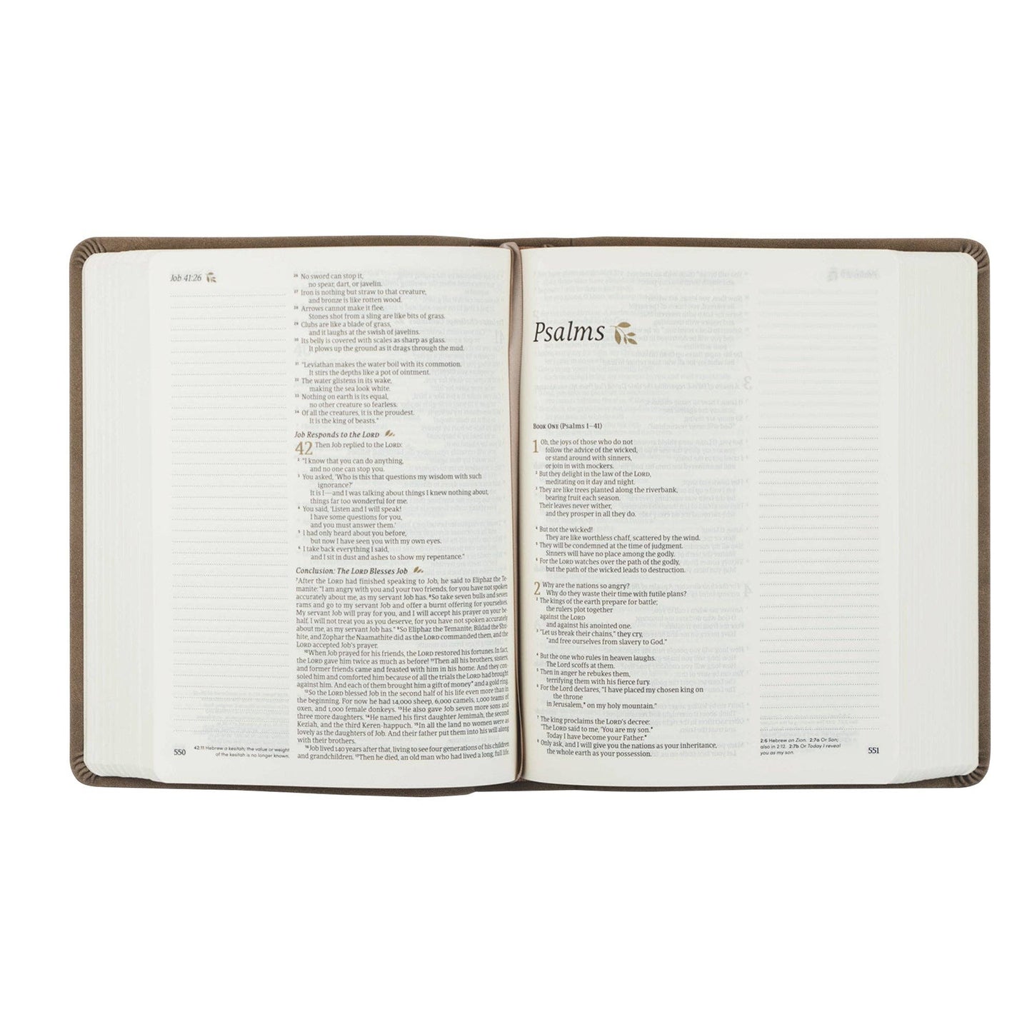 NLT Notetaking Bible : Marlo Theme