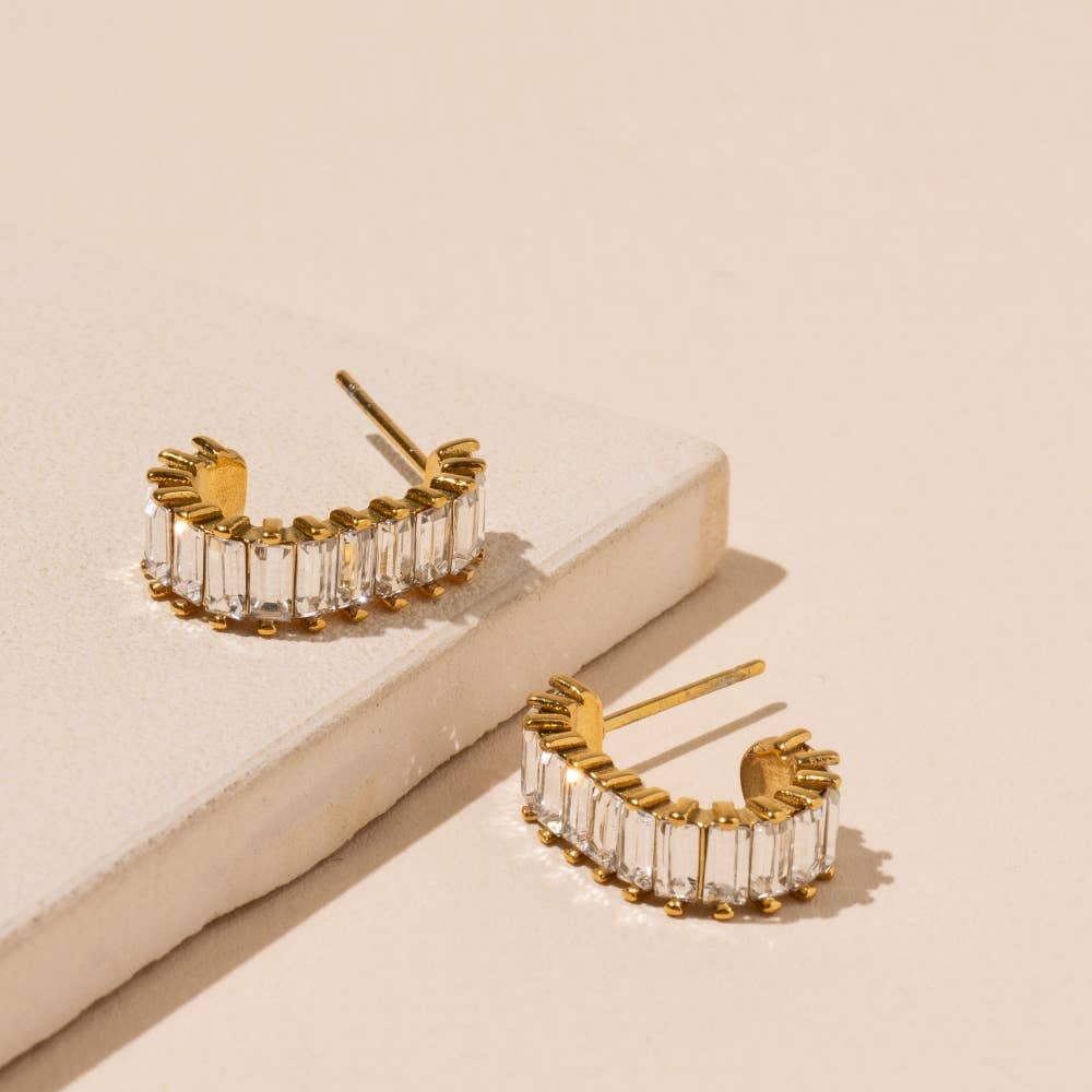 Clear Stone Stainless Earrings
