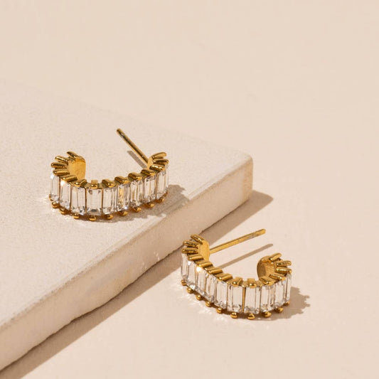 Clear Stone Stainless Earrings