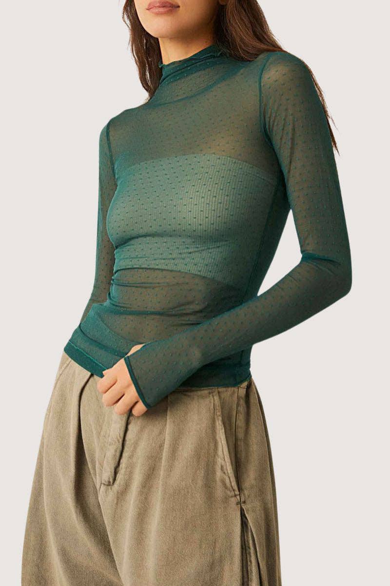 Sheer Turtleneck Long Sleeve Blouse