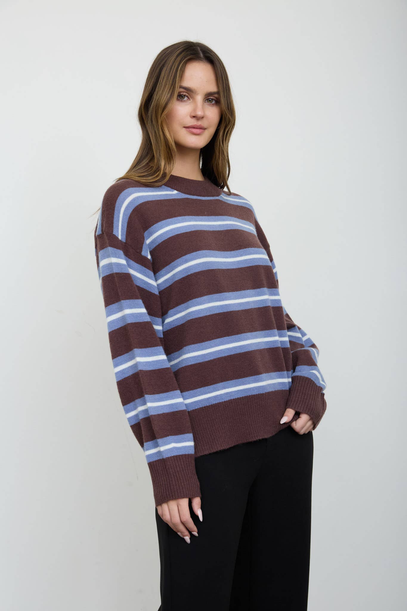 Multi-Color Stripe Crew Neck Relaxed Pullover