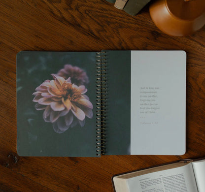 Chosen | Ephesians Bible Study