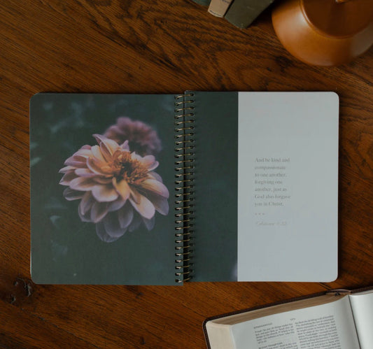Chosen | Ephesians Bible Study