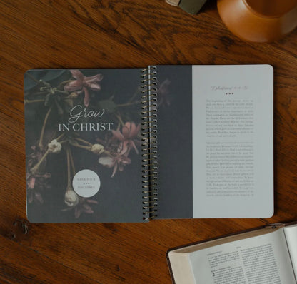 Chosen | Ephesians Bible Study