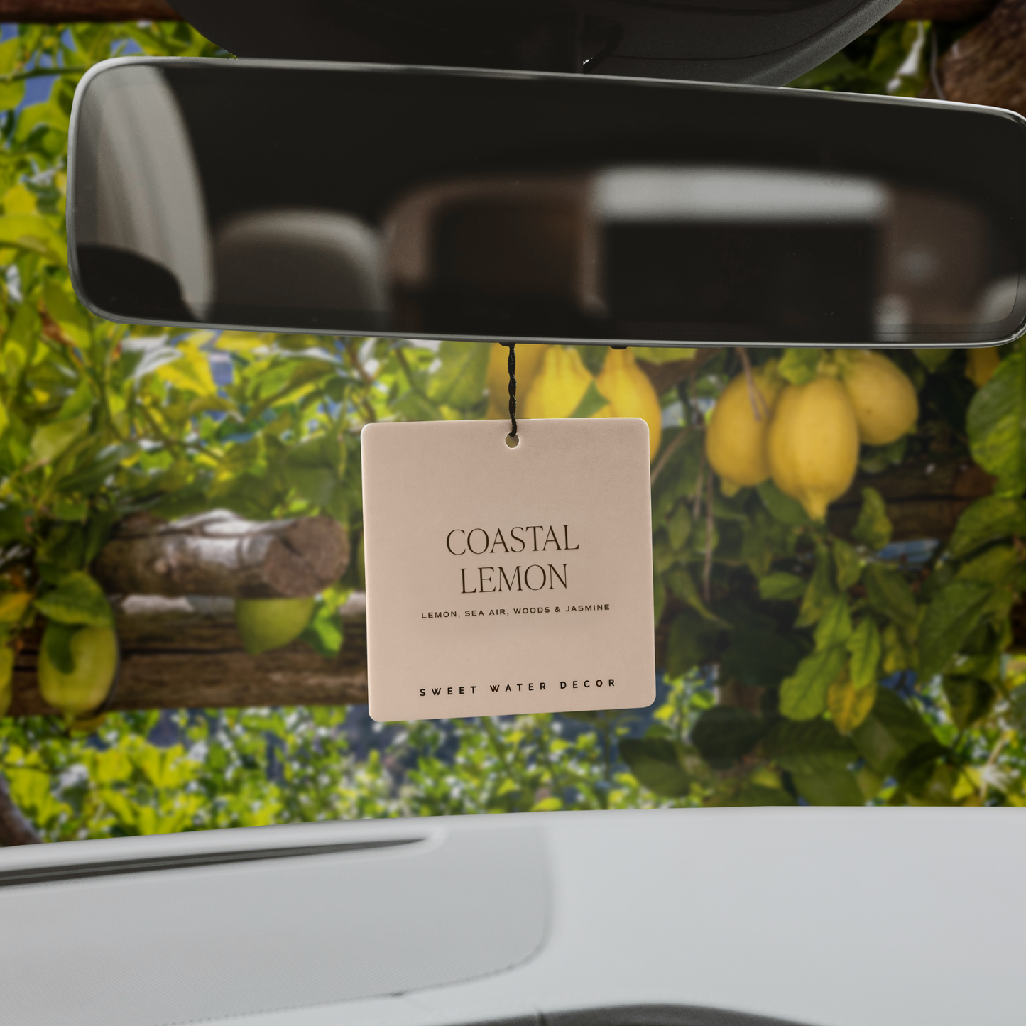 Coastal Lemon Hanging Air Freshener