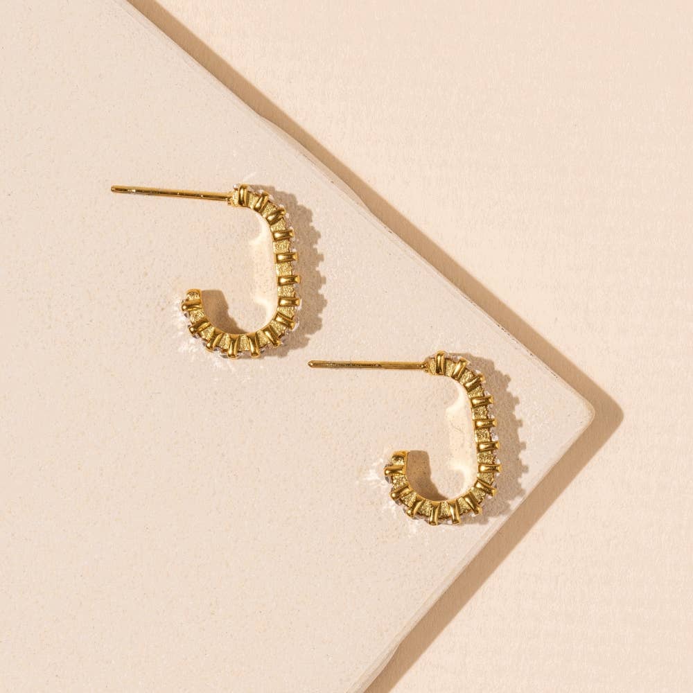 Clear Stone Stainless Earrings
