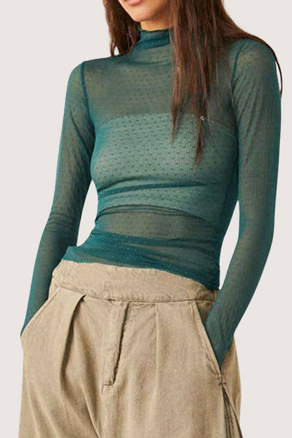 Sheer Turtleneck Long Sleeve Blouse