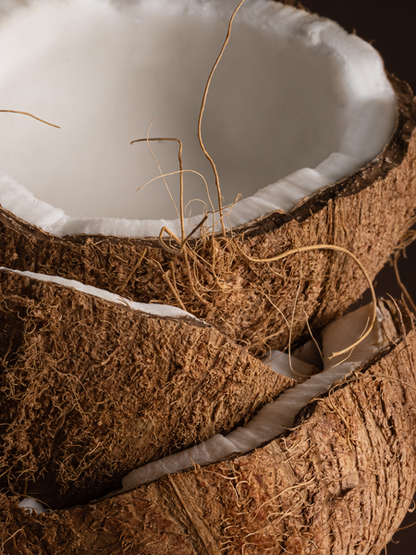 Coconut Calm by Becki Owens - Pura Car Refill