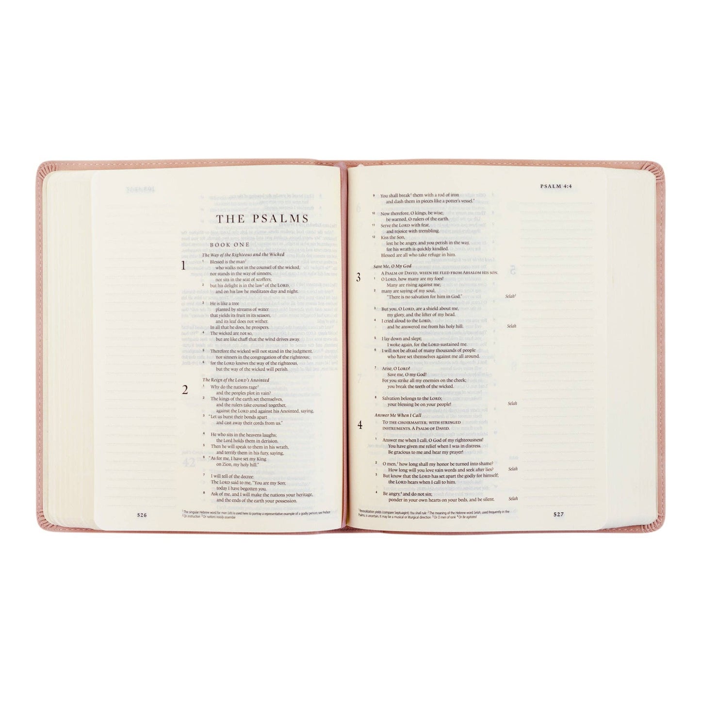 ESV Journaling Bible : Shiloh Theme